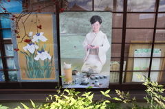 窓の大和撫子