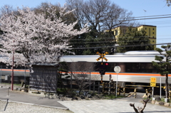 春電車　３