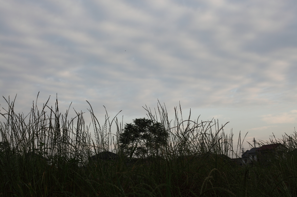 朝の空