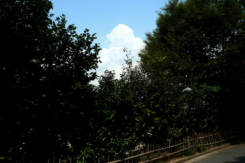 夏雲