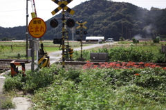 踏切の秋