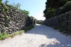 白い道とサンゴの石垣