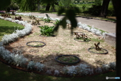 植物園