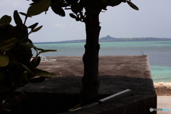 IMG_1713-1