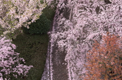 春の空から