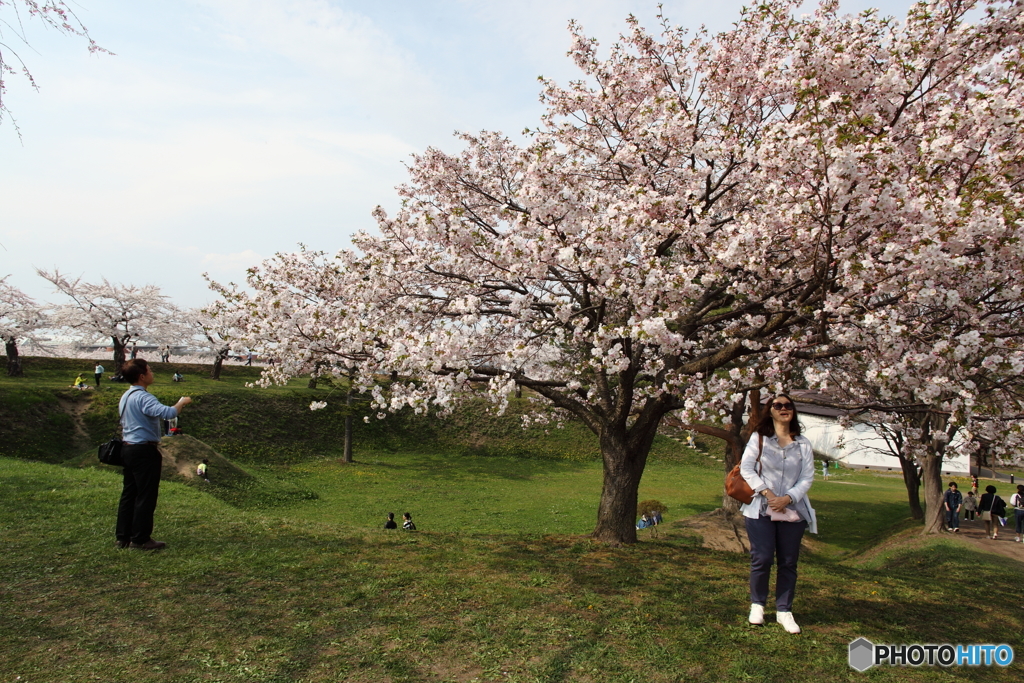 春の公園