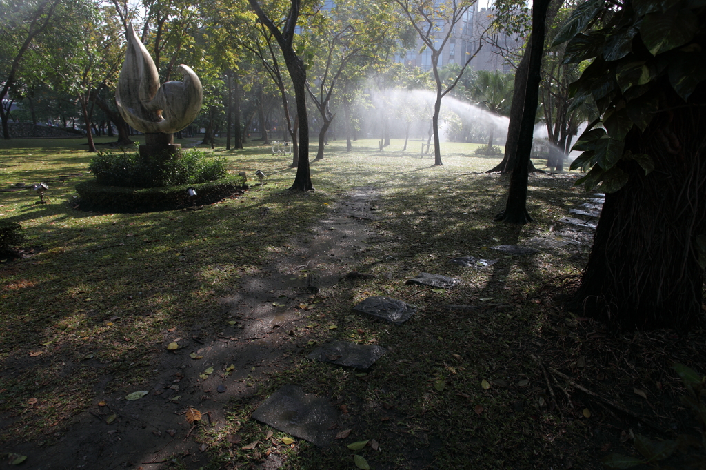 公園の朝