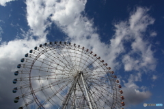 IMG_8948-1