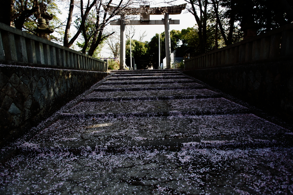 参道