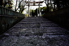 参道