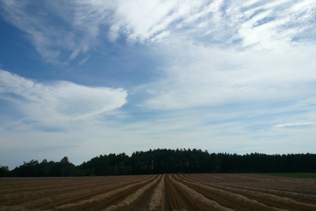 女満別の空