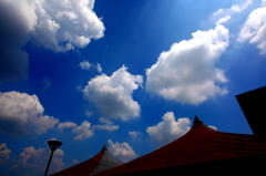 ちぎれ雲