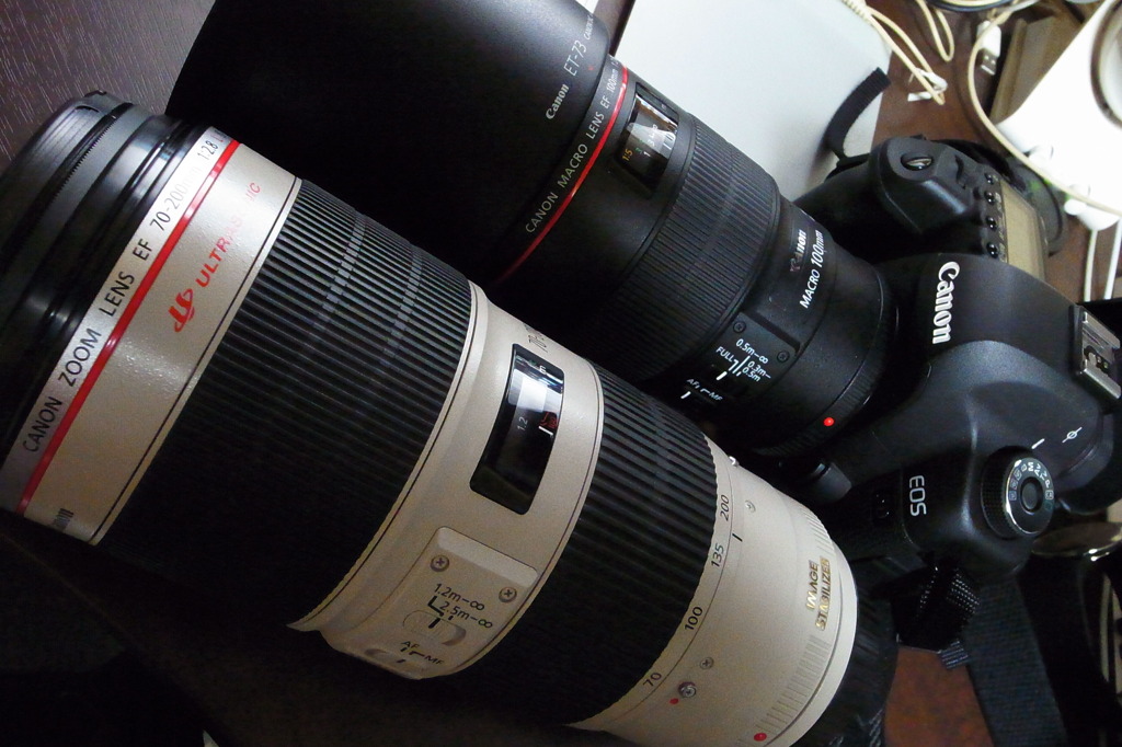 100mm マクロ & 70-200mm