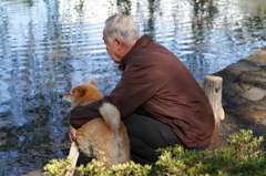 柴犬と老人