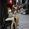 白カブ