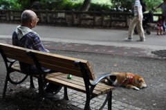 老人と犬