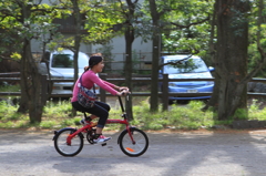 愛車と走る