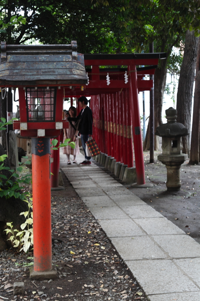 鳥居の中で