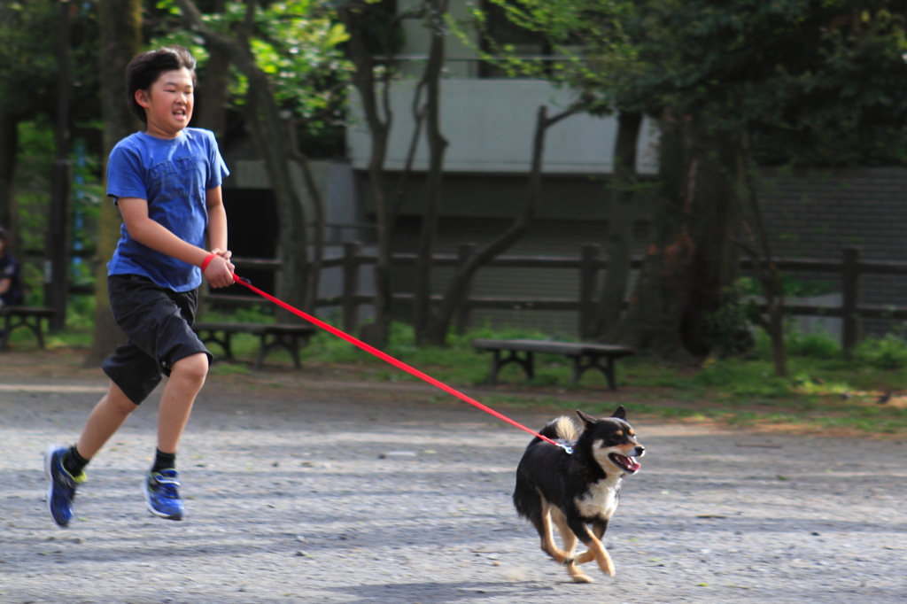 相棒と走る