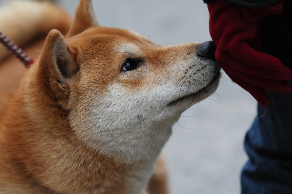 こんにちは