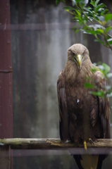 上野動物園