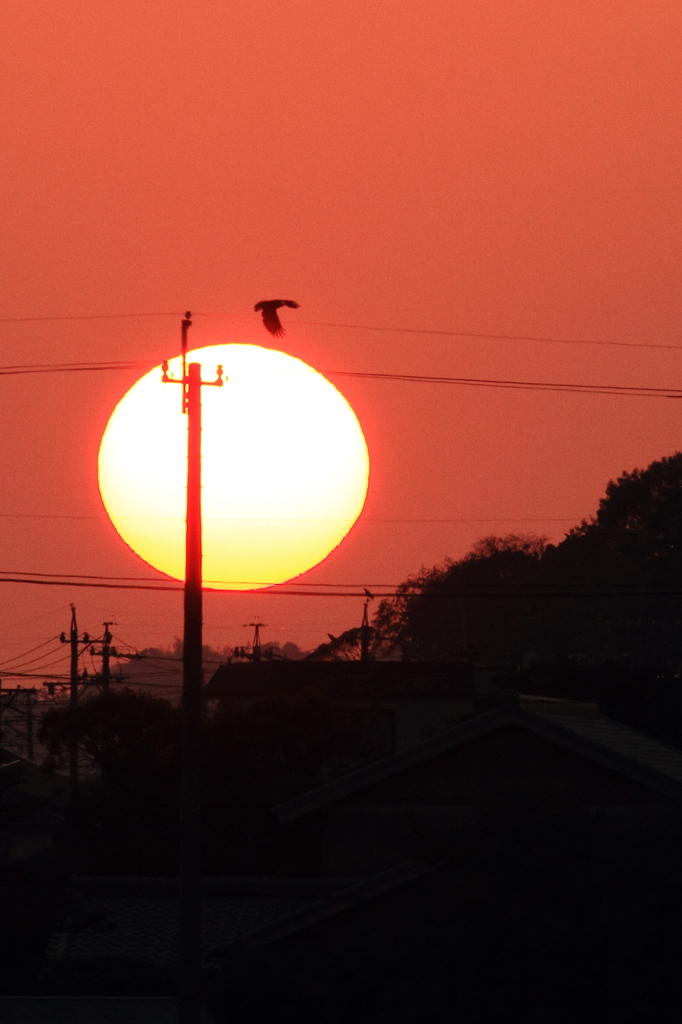 日没の時