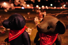 ツムギとコトノハ２