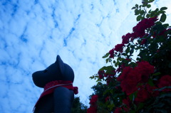 ツムギとコトノハ１７