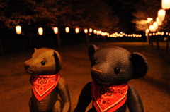 ツムギとコトノハ３