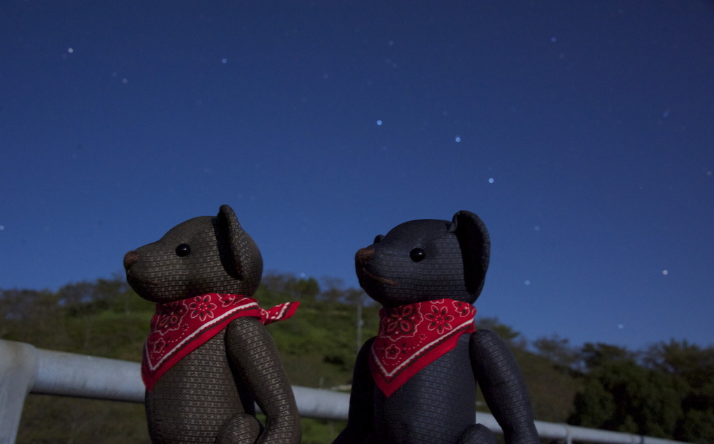 ツムギとコトノハ ２１