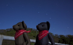 ツムギとコトノハ ２１