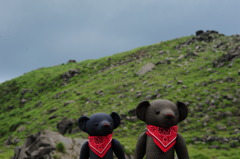 ツムギとコトノハ２０