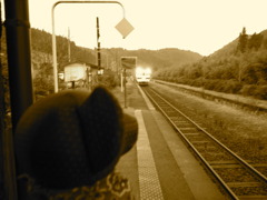 ツムギとコトノハ８