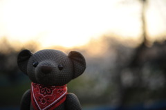 ツムギとコトノハ６