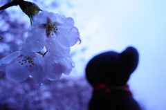 ツムギとコトノハ５