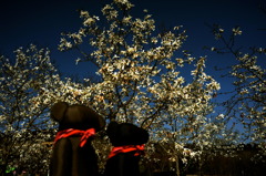 ツムギとコトノハ４