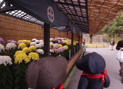 ツムギとコトノハ９