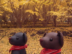 ツムギとコトノハ１０