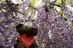 ツムギとコトノハ１５