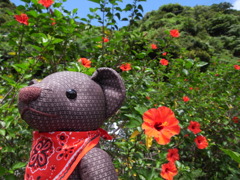 ツムギとコトノハ１３