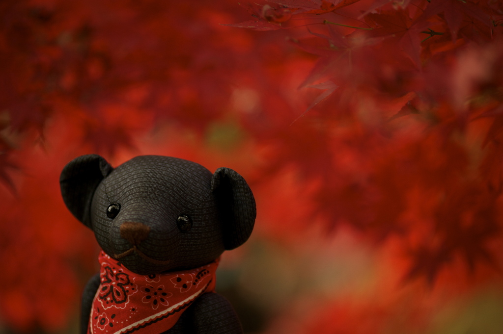 ツムギとコトノハ２２