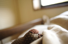 ツムギとコトノハ７