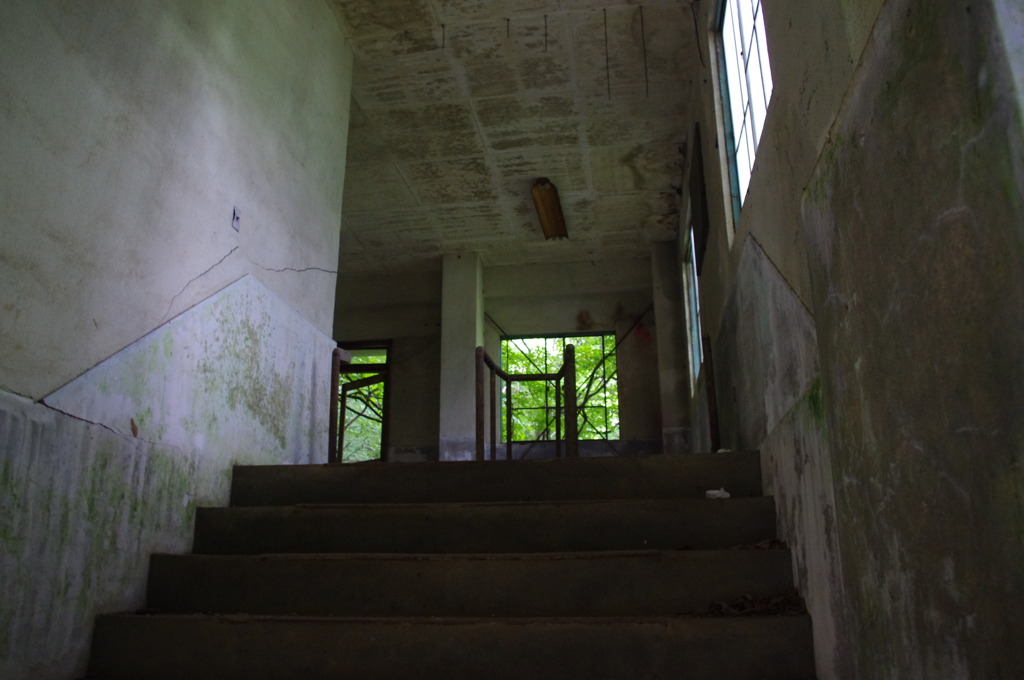 IMGP0950