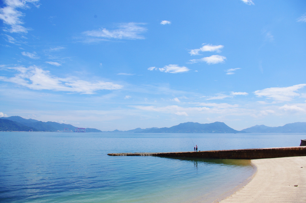 夏だ！海だ！