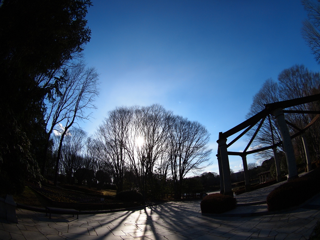 黄昏の公園