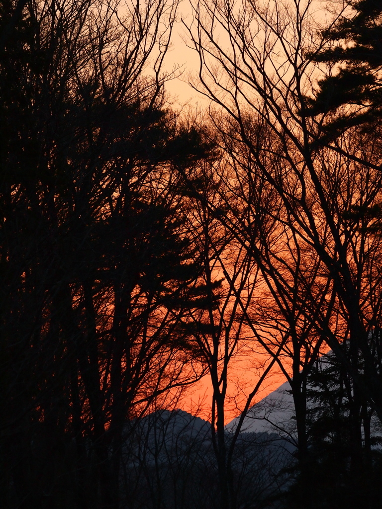 或る日の夕景