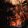 或る日の夕景