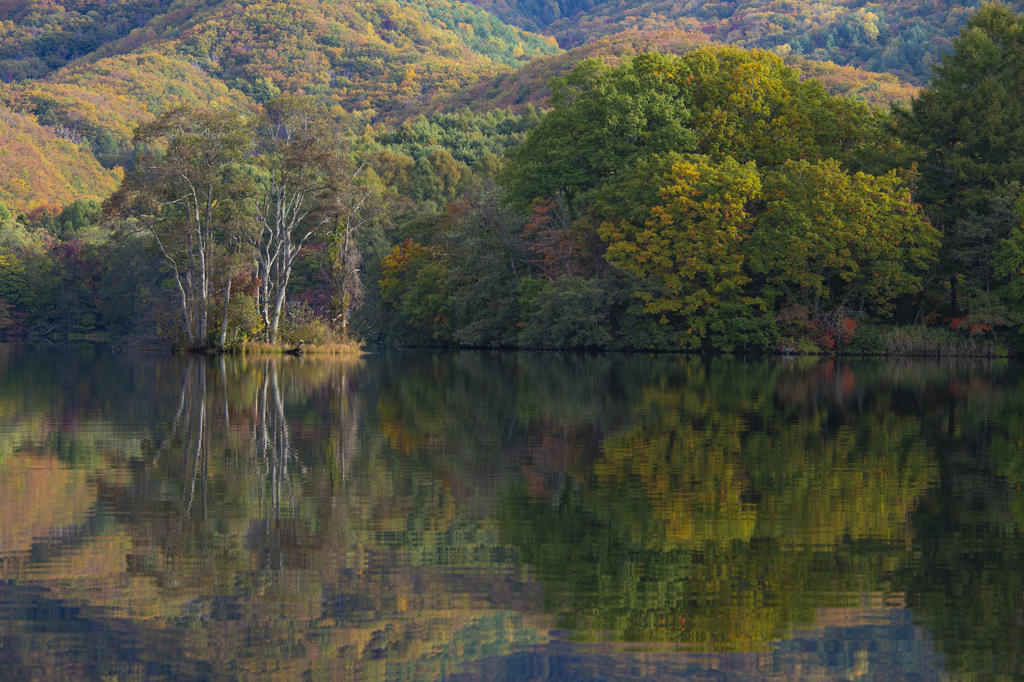 曽原湖の秋