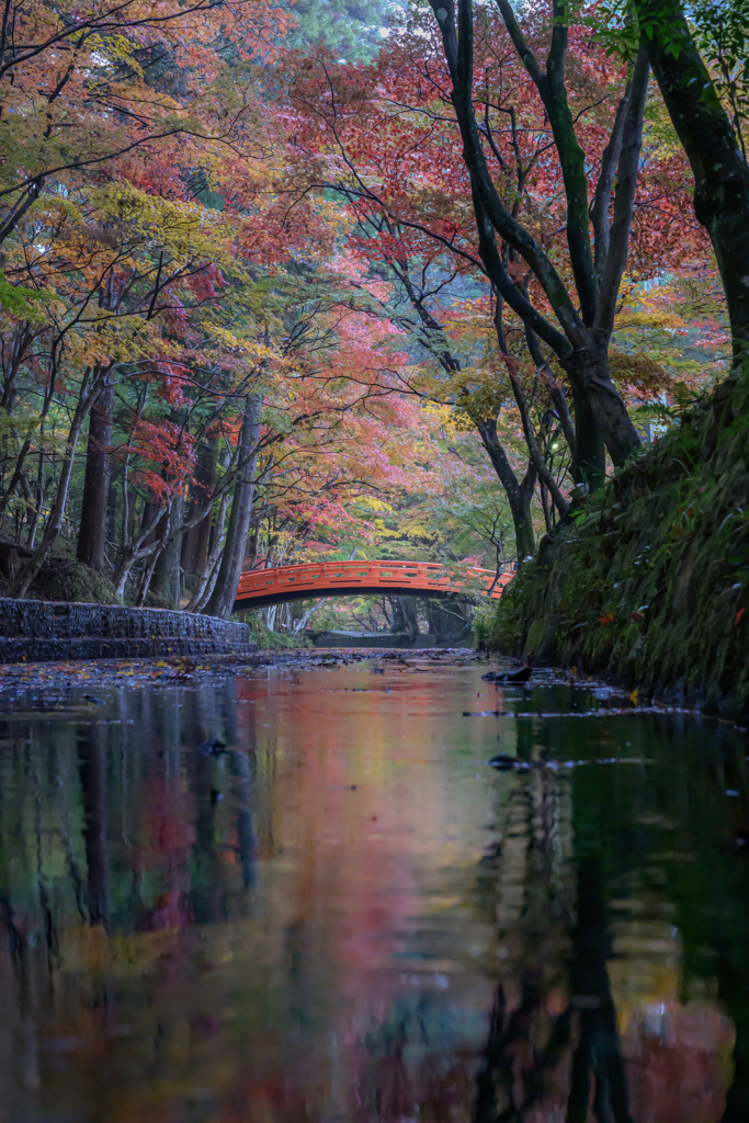 小國神社の秋