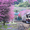 神戸駅にて